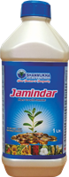 SAL_Jamindar